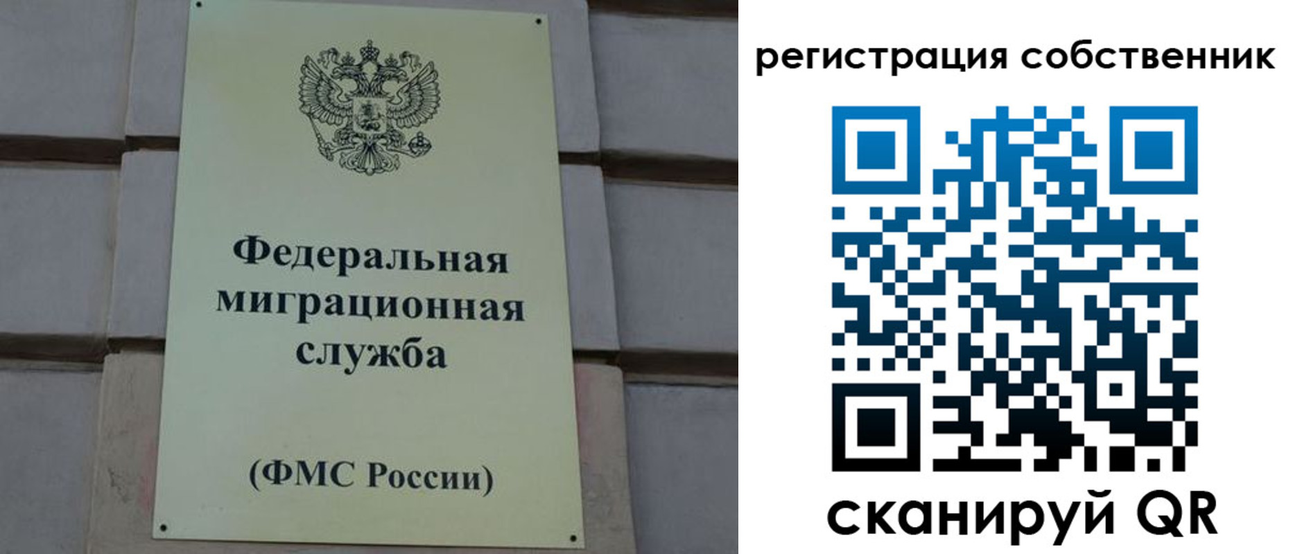 прописка гарантия в Пласте